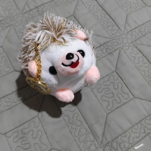 Porco-Espinho tipo Chaveiro ou não ?Pelúcia?