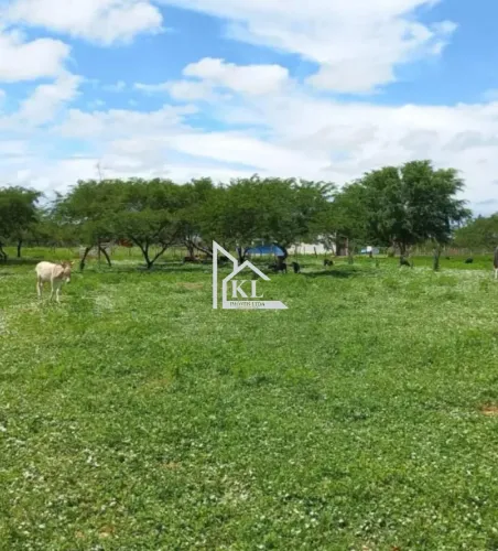 Oportunidade única de negócio: fazenda entre Jandaíra e Guamaré
