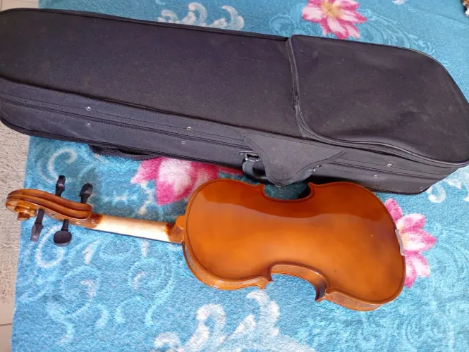 Violino