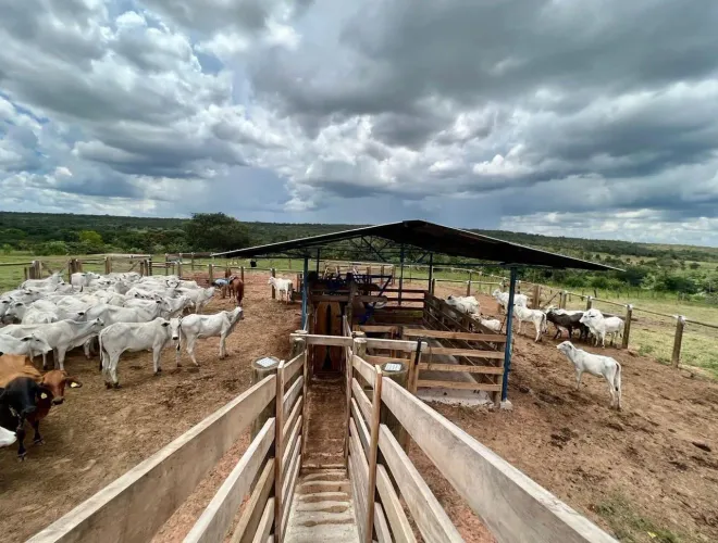1.402 hectares em Arinos MG