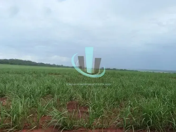 FAZENDA à venda 1 Quarto, 20M², Rodovia Comandante João de Barro, Boa Esperança do Sul - S