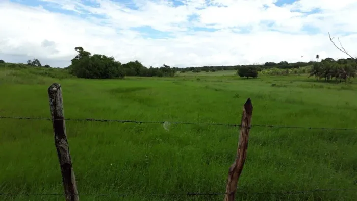 Fazenda em Itapicuru, Bahia