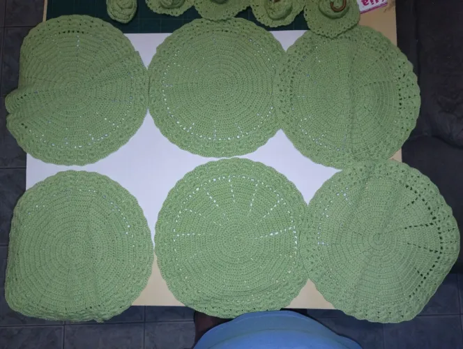 Jogo americano de souplant com 18 pcs