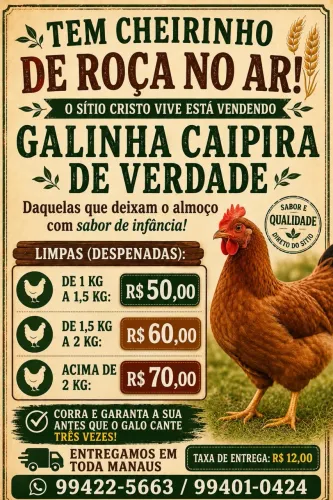 Vendo galinha caipira direto do sítio