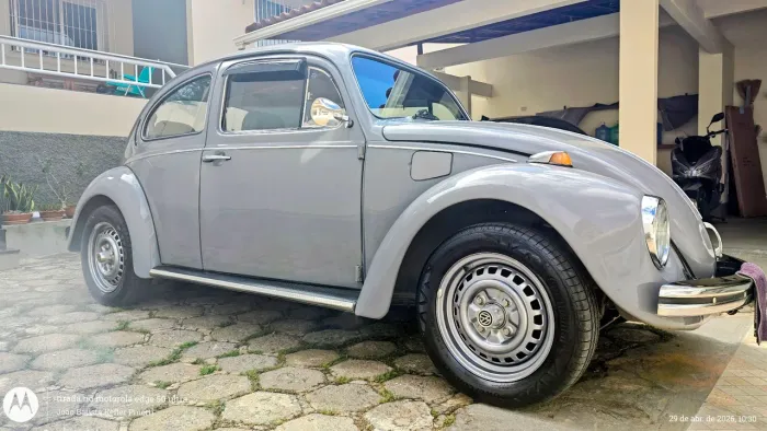 Volkswagen Fusca Fusca (gasolina) 1981
