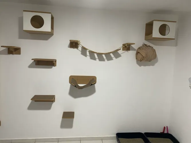 Playground para gatos semi-novo