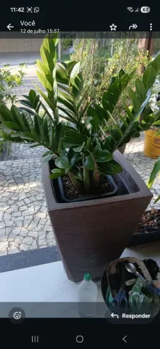 Vaso Grande Para Planta