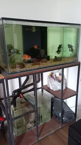 Aquário completo 250L