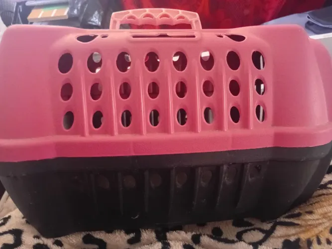 Caixa de transporte para pet