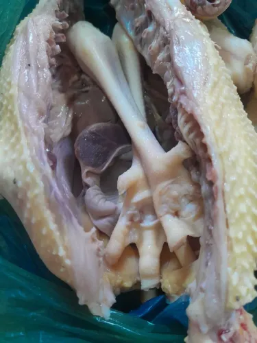 Galinha caipira 