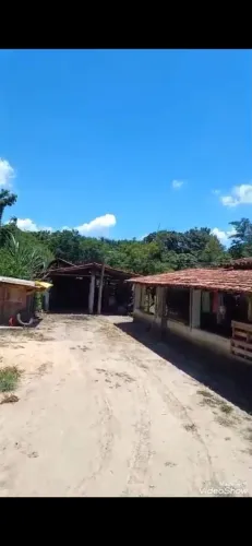 Vende se uma Chácara bairro dos binos conchas/SP 10,500 metros .