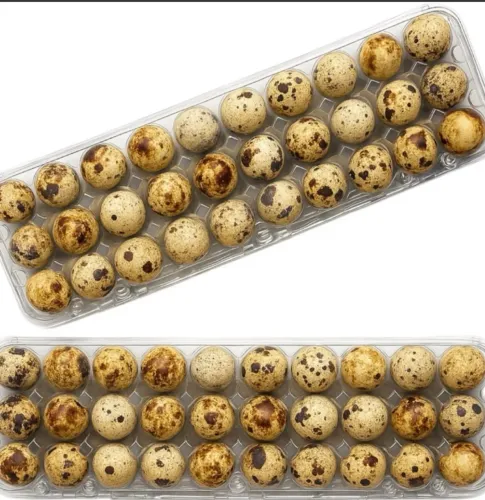 Ovos galados
