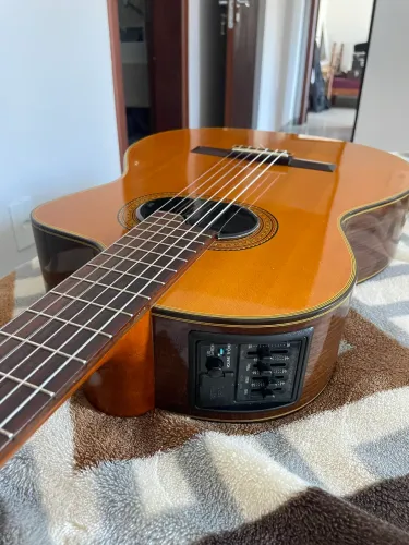 Takamine E30