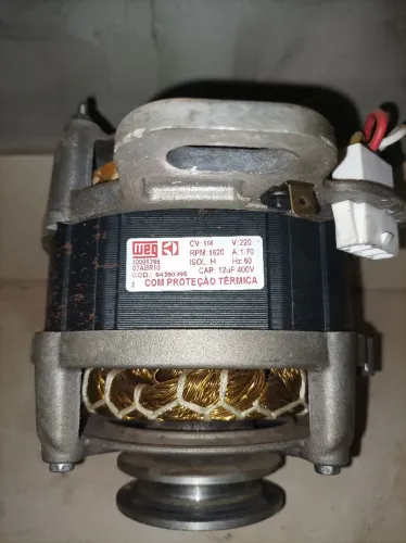 Motor Eletrolux 10 kg 200v Weg