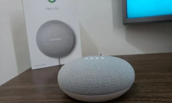 Google Nest Mini 2