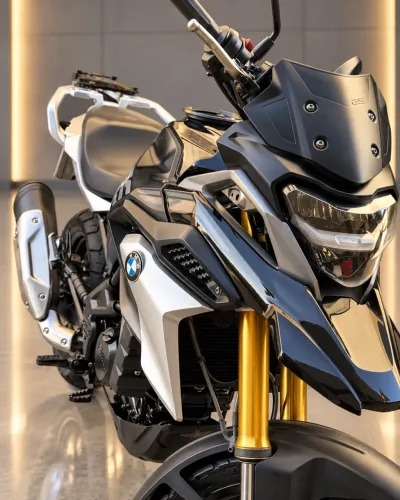 BMW G 310 S 2021
