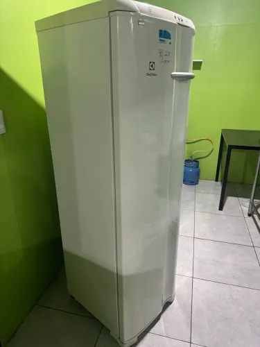 Freezer Vertical 