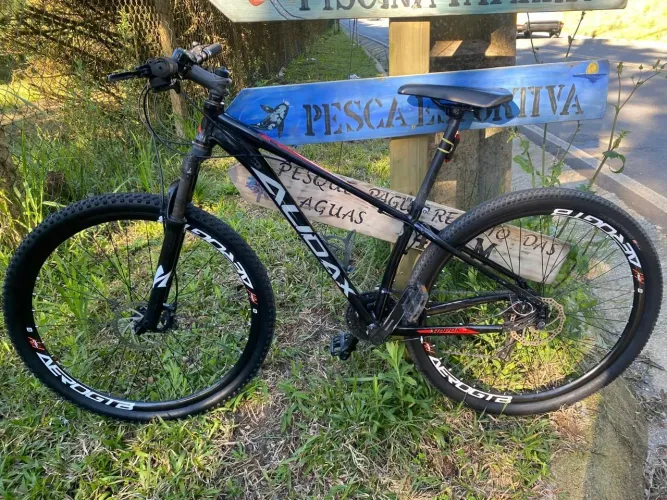 Torrando Audax quadro 15