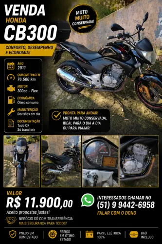 CB300 2011