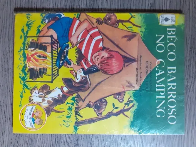 Livro Beco Barroso No Camping