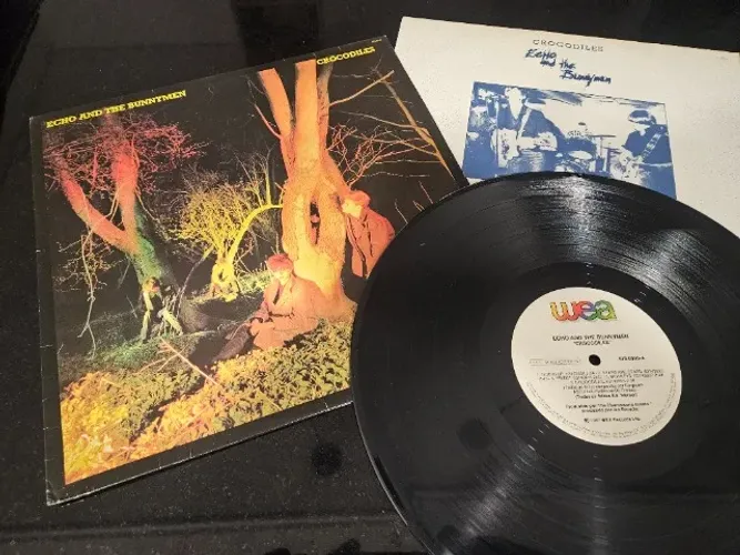 Lp disco de vinil Echo & the Bunnymen - Crocodiles (1980)