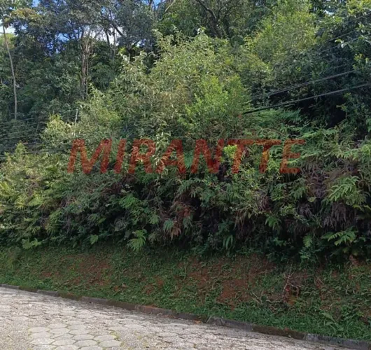 Terreno em São Vicente