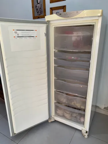 Freezer 276 Litros Vertical Flex Frost Free Brastemp
