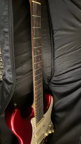 Guitarra tagima 