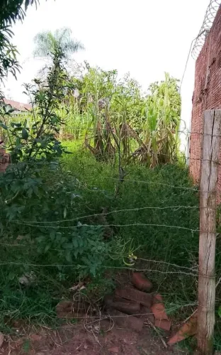 Terreno nova lima comodato