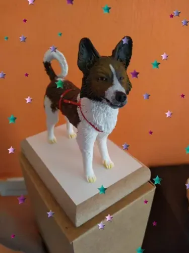 Pets em miniatura ?