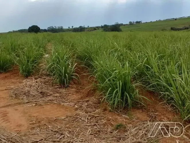 Área à venda, TIETE - TIETE/SP