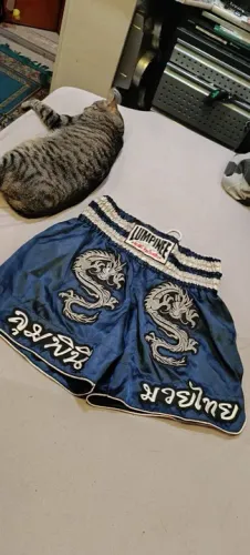 Bermuda Muia thai Lumpinee