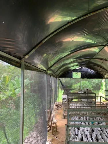 Estufa agrícola / arco estufa + parte aérea 