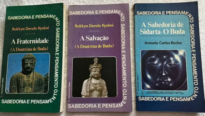 3 Livros Sabedoria e Pensamento 