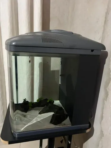 Aquário Boyu completo 