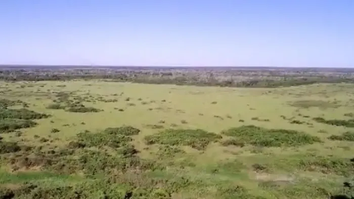 Fazenda 850 Hectares à Venda no Pantanal - R$ 2600,00 p/ Hectare.
