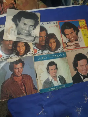 Lote Vinil - 29 Discos Clássicos - Julio Iglesias, Lenita, Internacionais e etc...