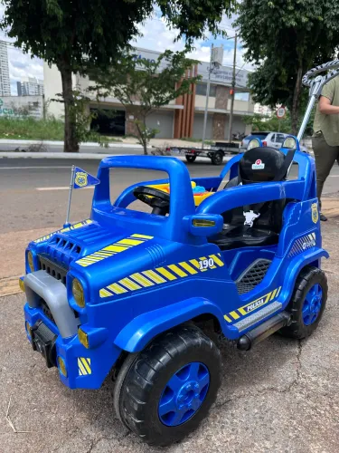 Carro de Passeio e Pedal Diipi - Calesita 