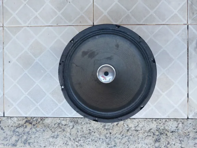Autofalante 12" 2