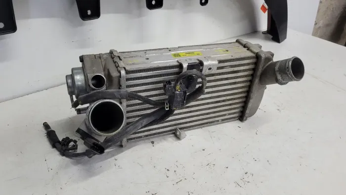 Intercooler hb20 20/25