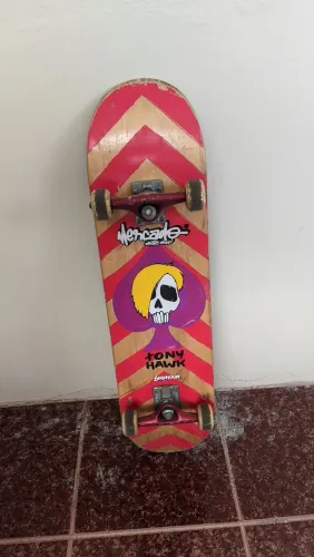 Skate Tony Hawk Birdhouse