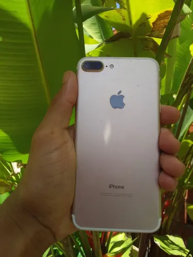 7 plus