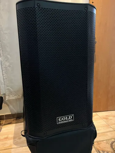 Caixa ativa 2000w Gold Can12
