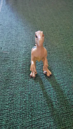 Dinossairo velociraptor