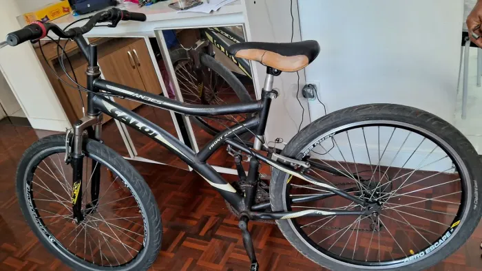 Bicicleta