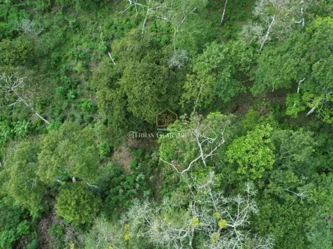 Terreno para venda Água Boa Guaramiranga