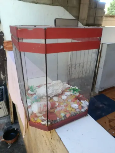 Aquario para beta