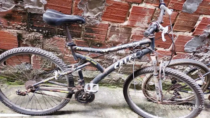 Bicicleta