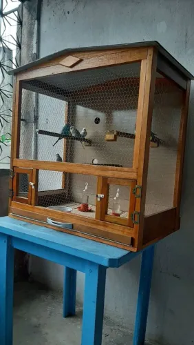 Viveiro por encomenda