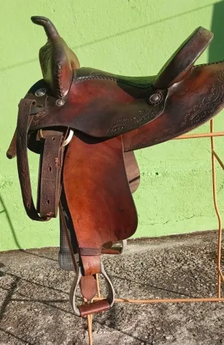 cela para cavalo